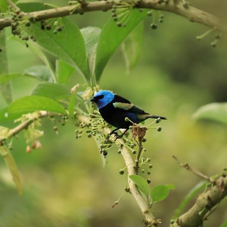 Finca Jardin Del Agua 萨赛马 外观 照片