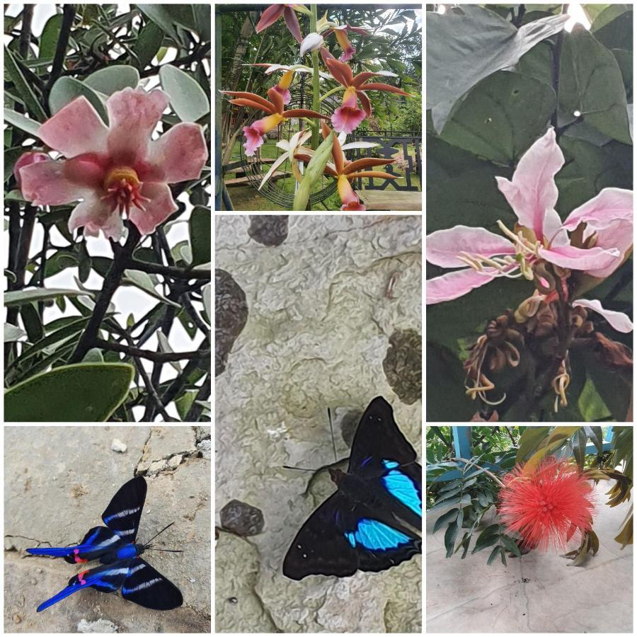 Finca Jardin Del Agua 萨赛马 外观 照片