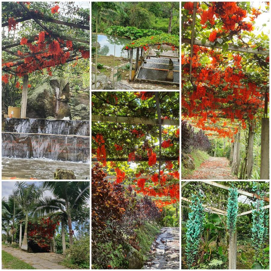 Finca Jardin Del Agua 萨赛马 外观 照片