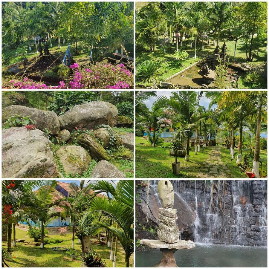 Finca Jardin Del Agua 萨赛马 外观 照片