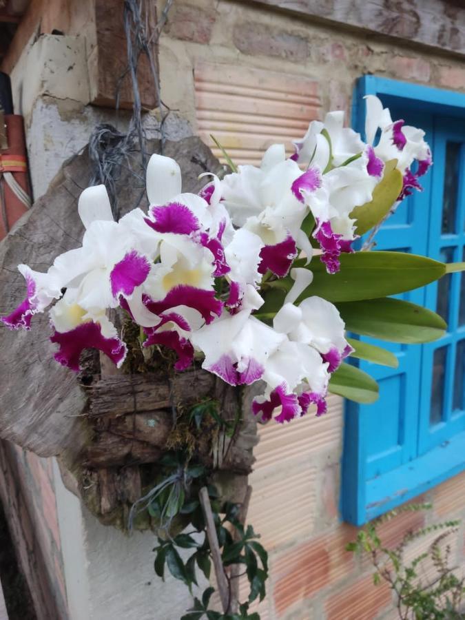 Finca Jardin Del Agua 萨赛马 外观 照片