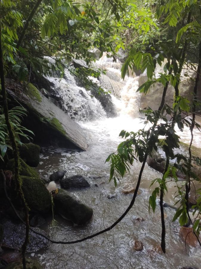 Finca Jardin Del Agua 萨赛马 外观 照片