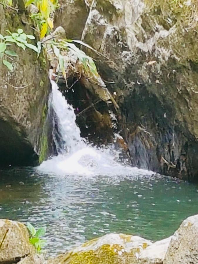 Finca Jardin Del Agua 萨赛马 外观 照片