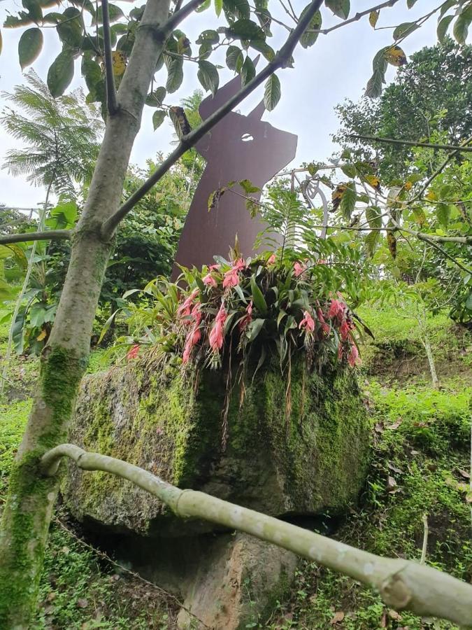 Finca Jardin Del Agua 萨赛马 外观 照片