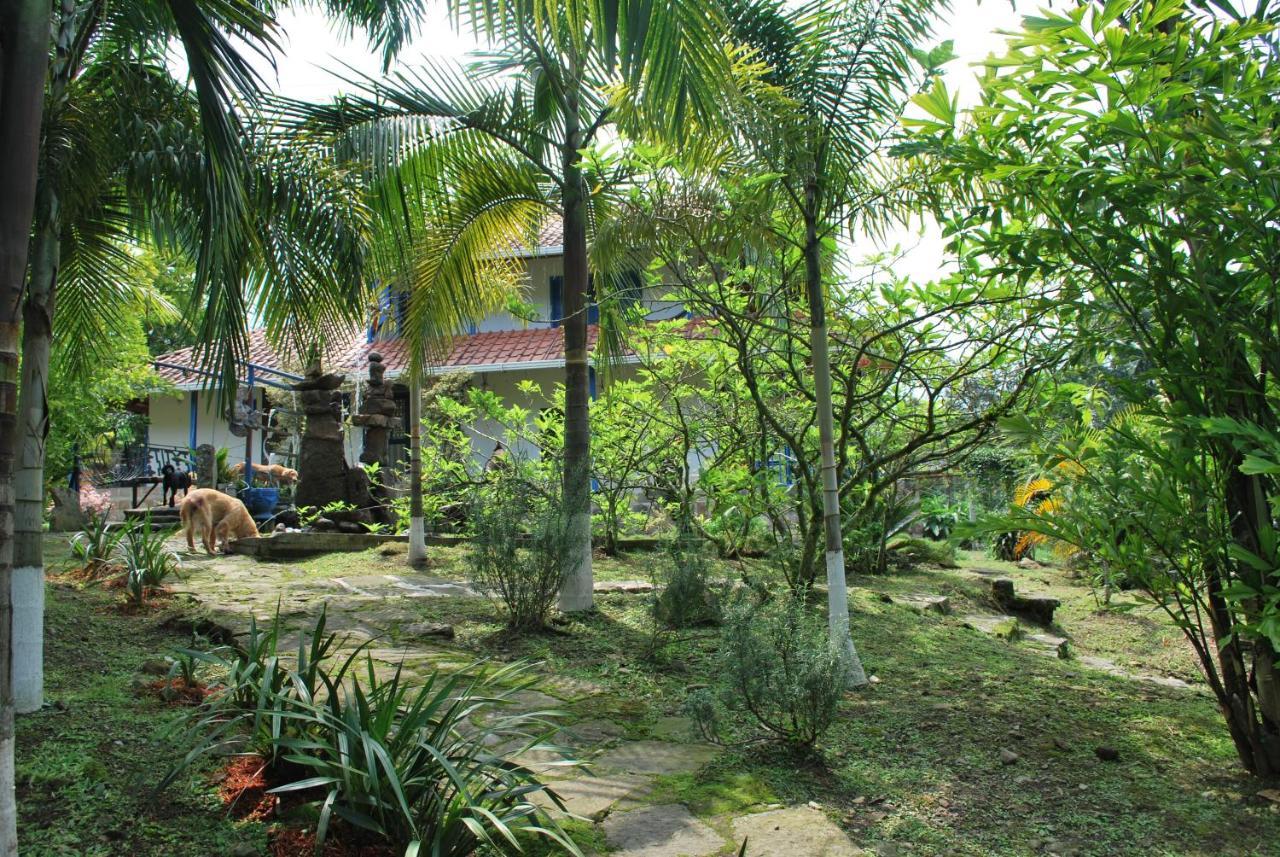 Finca Jardin Del Agua 萨赛马 外观 照片
