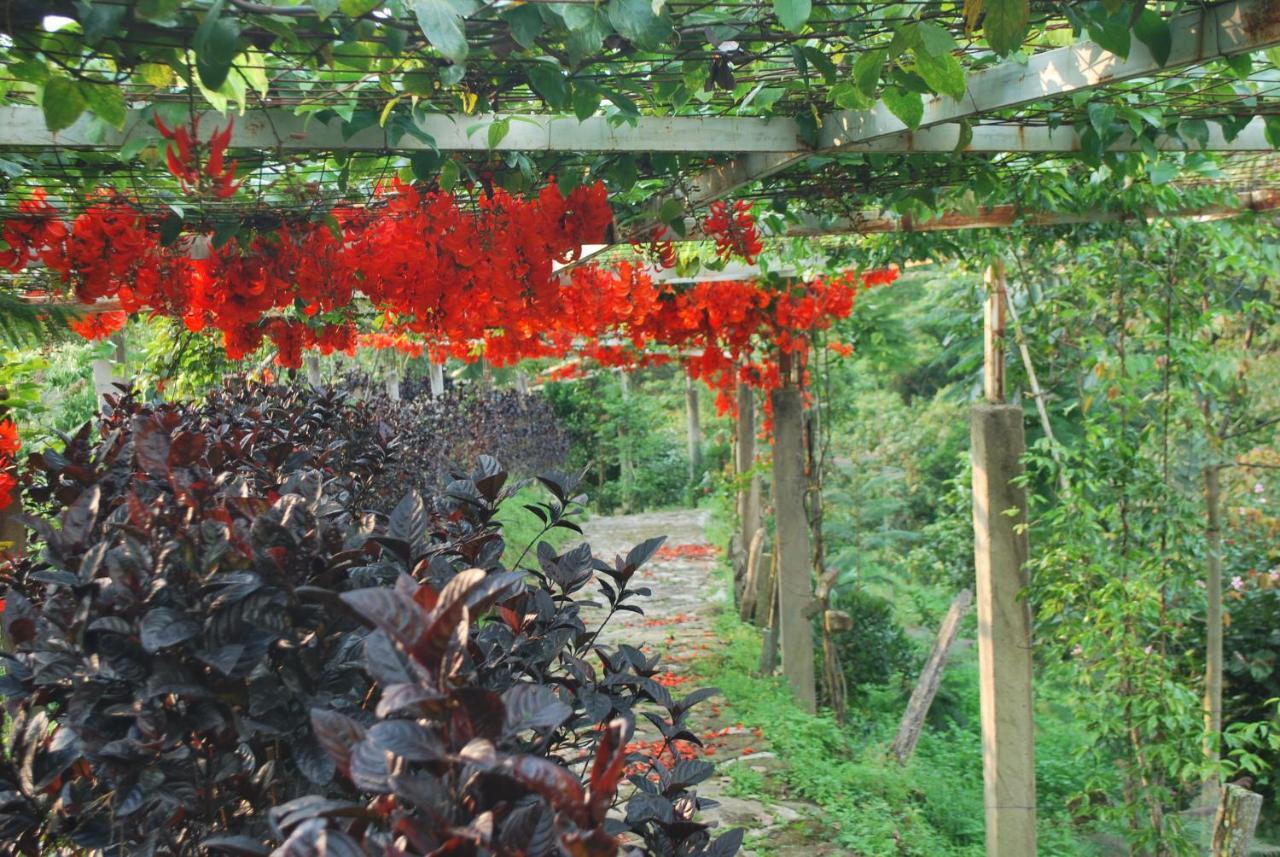 Finca Jardin Del Agua 萨赛马 外观 照片