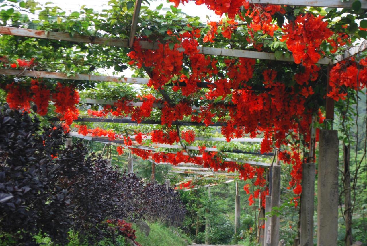Finca Jardin Del Agua 萨赛马 外观 照片